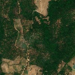 Temascaltepec map(satellite map)