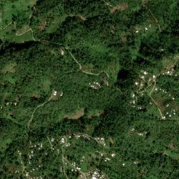 Buena Vista map(satellite map)