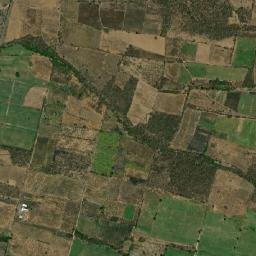 Camarón de Tejeda map(satellite map)
