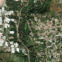 San Martín Coapaxtongo map(satellite map)