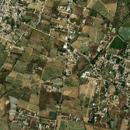 Nepopualco map(satellite map)