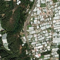 San Lucas map(satellite map)