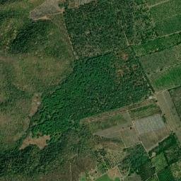 Armería map(satellite map)