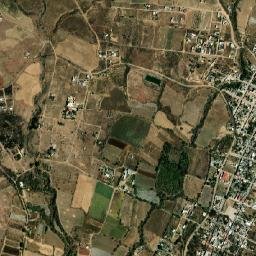 Tlaltetelco (San Miguel Tlaltetelco) map(satellite map)