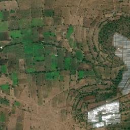 Harangul map(satellite map)
