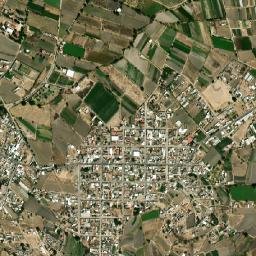 San Félix Hidalgo map(satellite map)