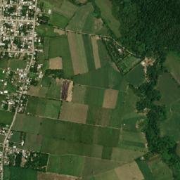 Chicola map(satellite map)