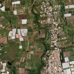 Ejido de la Finca map(satellite map)
