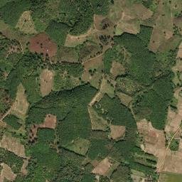 Amphoe Ban Luang map(satellite map)