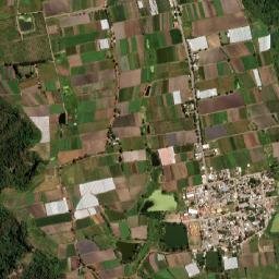 El Progreso Hidalgo map(satellite map)