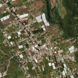 San Alejo map(satellite map)