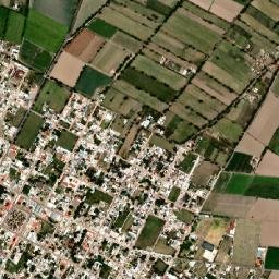 Palmar de Bravo map(satellite map)