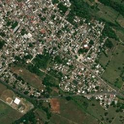 Yanga map(satellite map)
