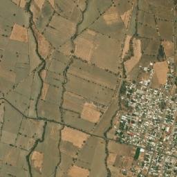 Tronconal map(satellite map)