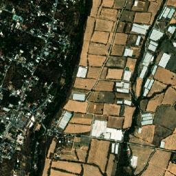 Zacualpan de Amilpas map(satellite map)