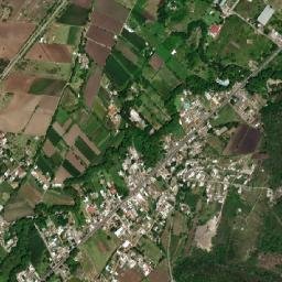 Taza de Agua Ojo Zarco map(satellite map)
