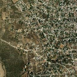 Anenecuilco map(satellite map)