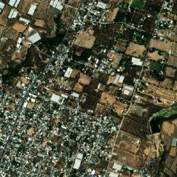 Temoac map(satellite map)