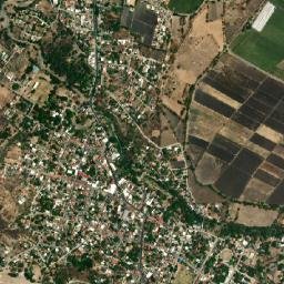 Colonia el Florido map(satellite map)