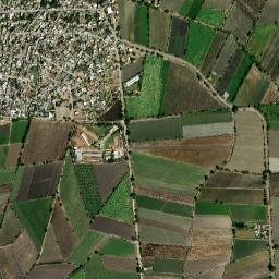 Ayala map(satellite map)