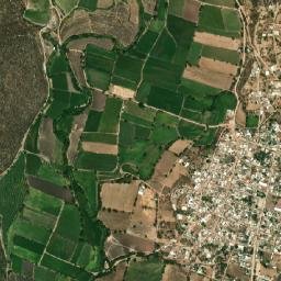 Ayotla map(satellite map)