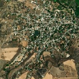 Cuauchichinola map(satellite map)