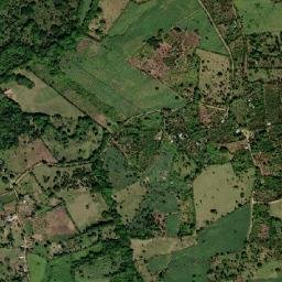 Guayabo Dulce map(satellite map)