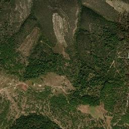 Nicolás Bravo map(satellite map)