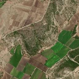 Tilapa map(satellite map)