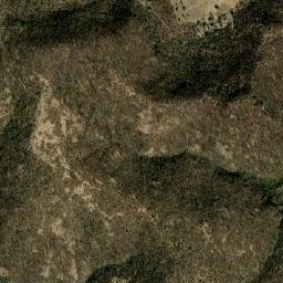 Tepalcingo map(satellite map)