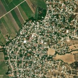 Higuerón map(satellite map)