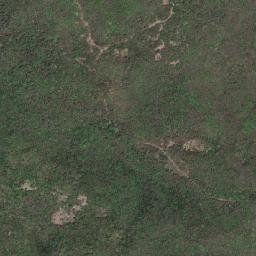 Greenwood map(satellite map)