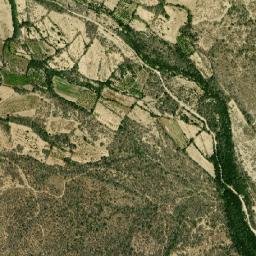 Tamayo map(satellite map)