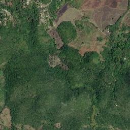 Flower Hill map(satellite map)