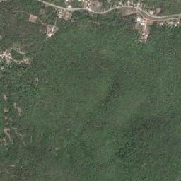Salt Marsh map(satellite map)