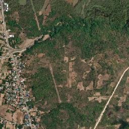 Davila map(satellite map)