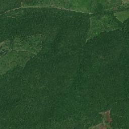 Rio Bueno map(satellite map)