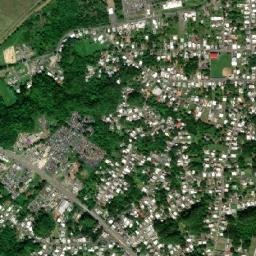 Ceiba map(satellite map)