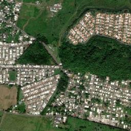 Dorado Municipio map(satellite map)