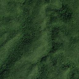 Brampton map(satellite map)