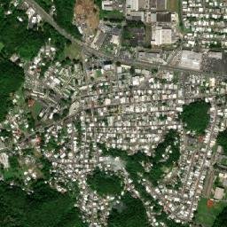 Vega Alta map(satellite map)