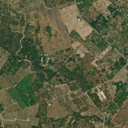 Amphoe Pa Sang map(satellite map)