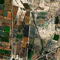Coyotepec map(satellite map)