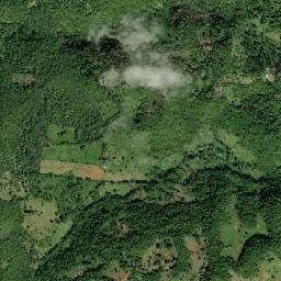 Sturge Town map(satellite map)