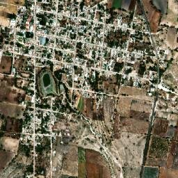 San Vicente Coyotepec map(satellite map)