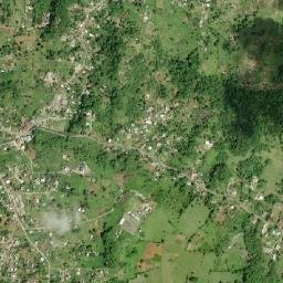 Bamboo map(satellite map)
