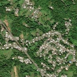 Moca Municipio map(satellite map)