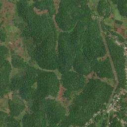 Sawyers map(satellite map)