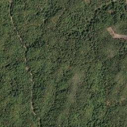 Amphoe Hang Chat map(satellite map)