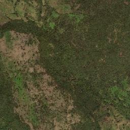 Teloloapan map(satellite map)